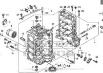 Honda Outboard Parts Diagram & Details