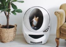 Litter Robot Stuck Mid-cycle? Here’s How to Fix It